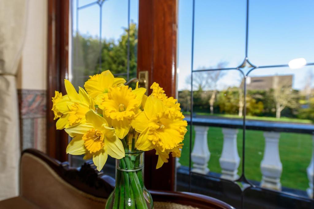 Killowen House B&B Drogheda Exteriér fotografie